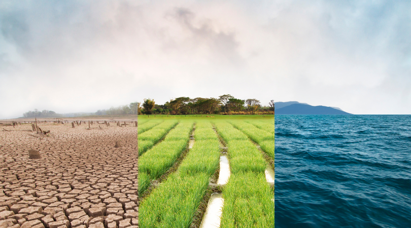 Keynote Discussion for the 43rd Annual Review Seminar to Centre on Climate Resilience