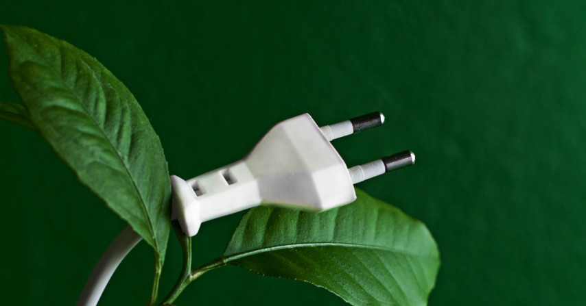 Powering the Future: The Caribbean's Journey Towards Energy Independence