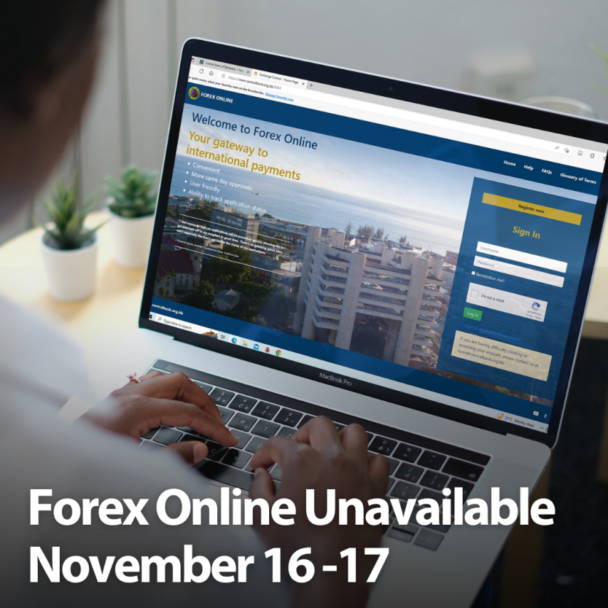 Forex Online Portal Offline This Weekend