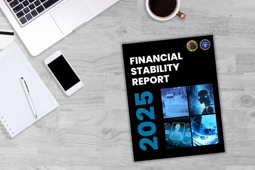 The 2025 Financial Stability Report